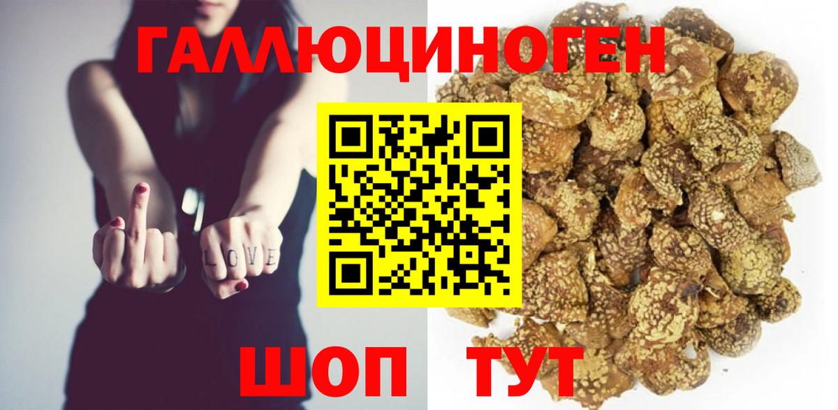 Михайловск  Псилоцибиновые грибы ЛСД  Вход с VPN 